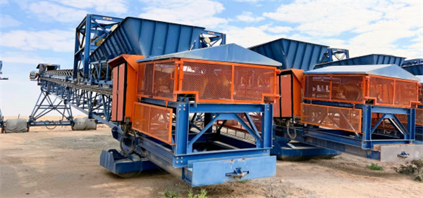 34 Units - Senet 1350mm (54") W X 38m (125') L Grasshopper Conveyors)